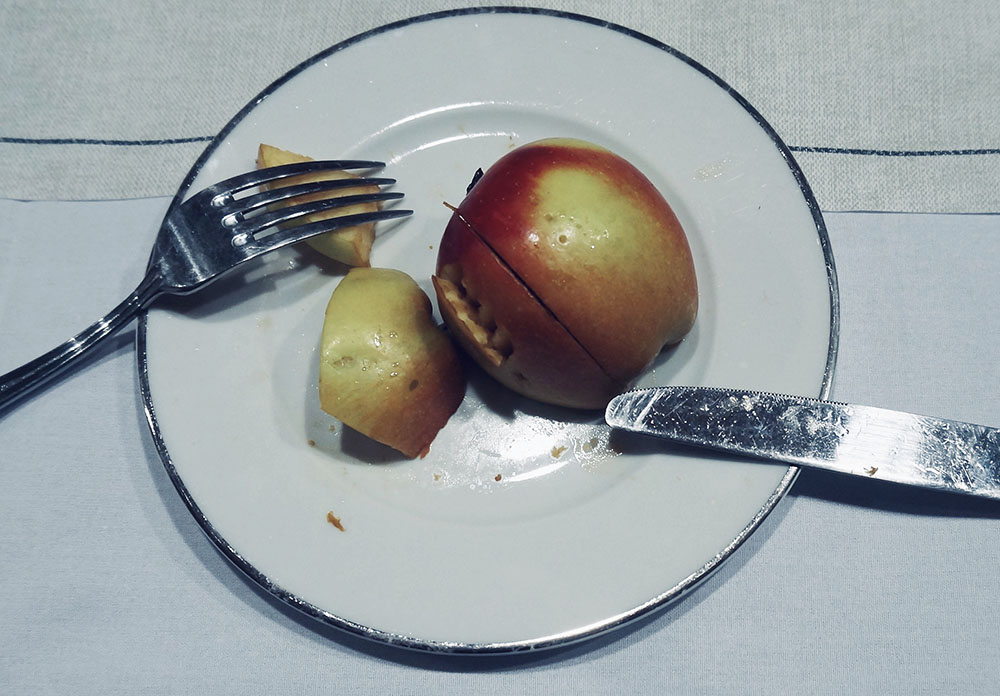An unfinished dinner plate, the diner was eating apples.